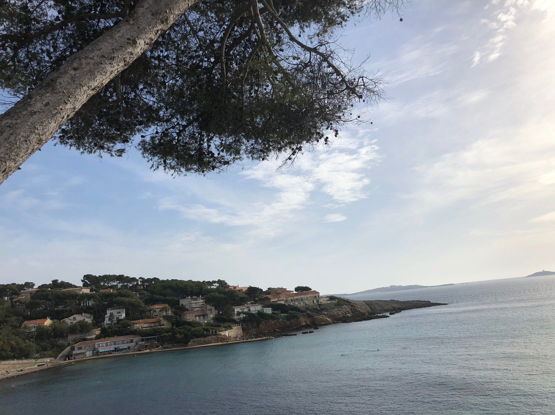 Plage de Portissol景点图片