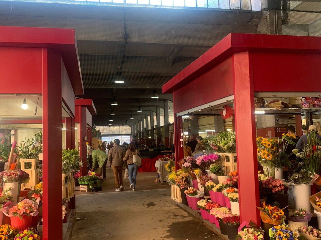 Mercato Coperto-文蒂米利亚必去景点