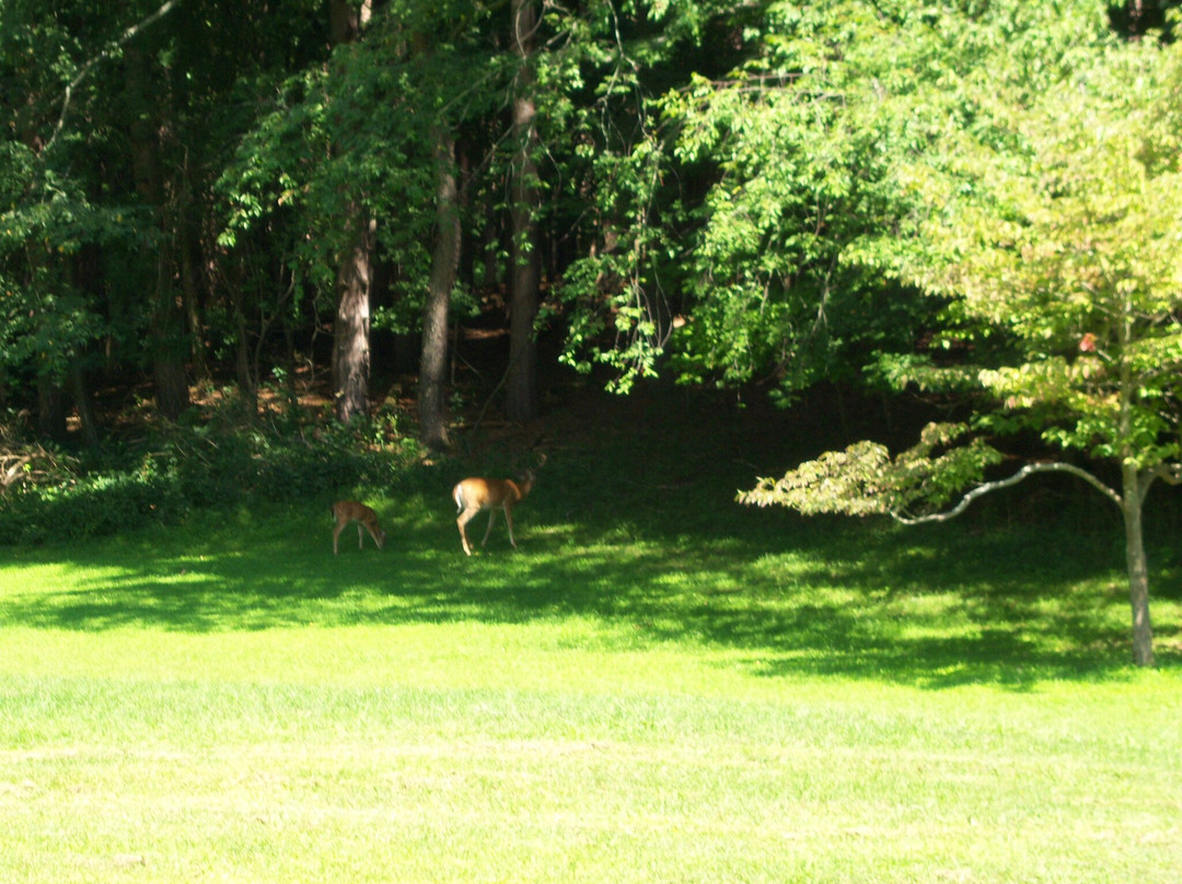 Mendon Ponds Park-Pittsford必去景点