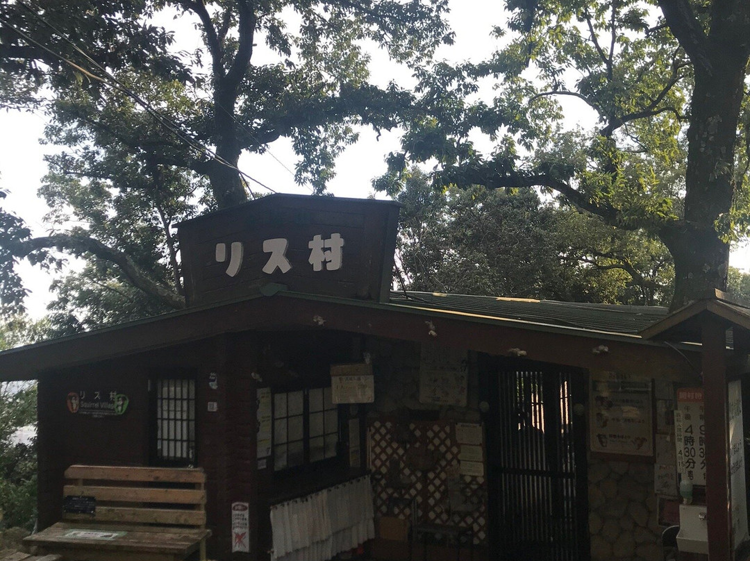 Mt. Kinka-岐阜市必去景点