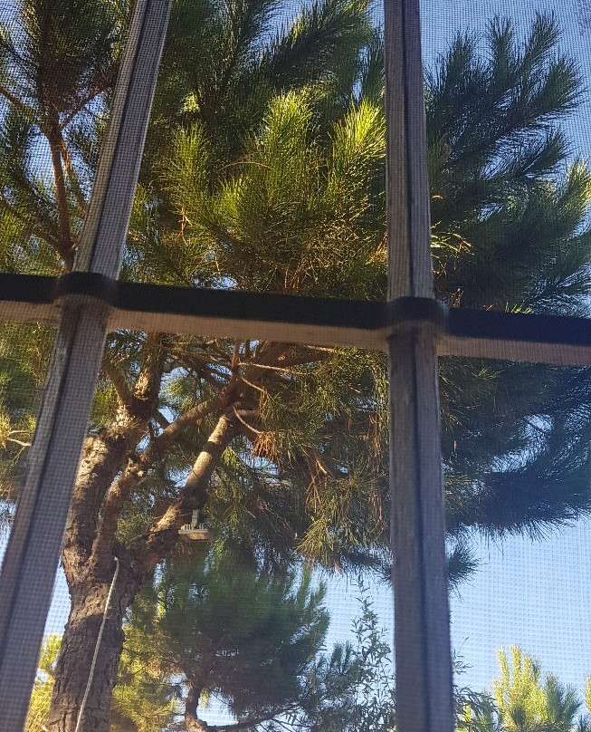 Soha Village Resort主图