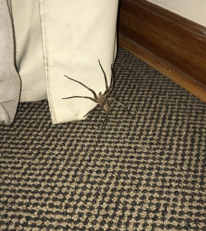 LP Los Portales Hotel Tarma主图