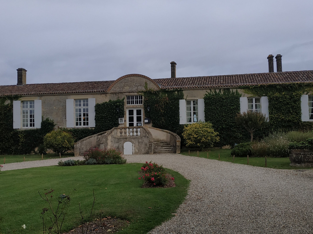 Château D’arche景点图片