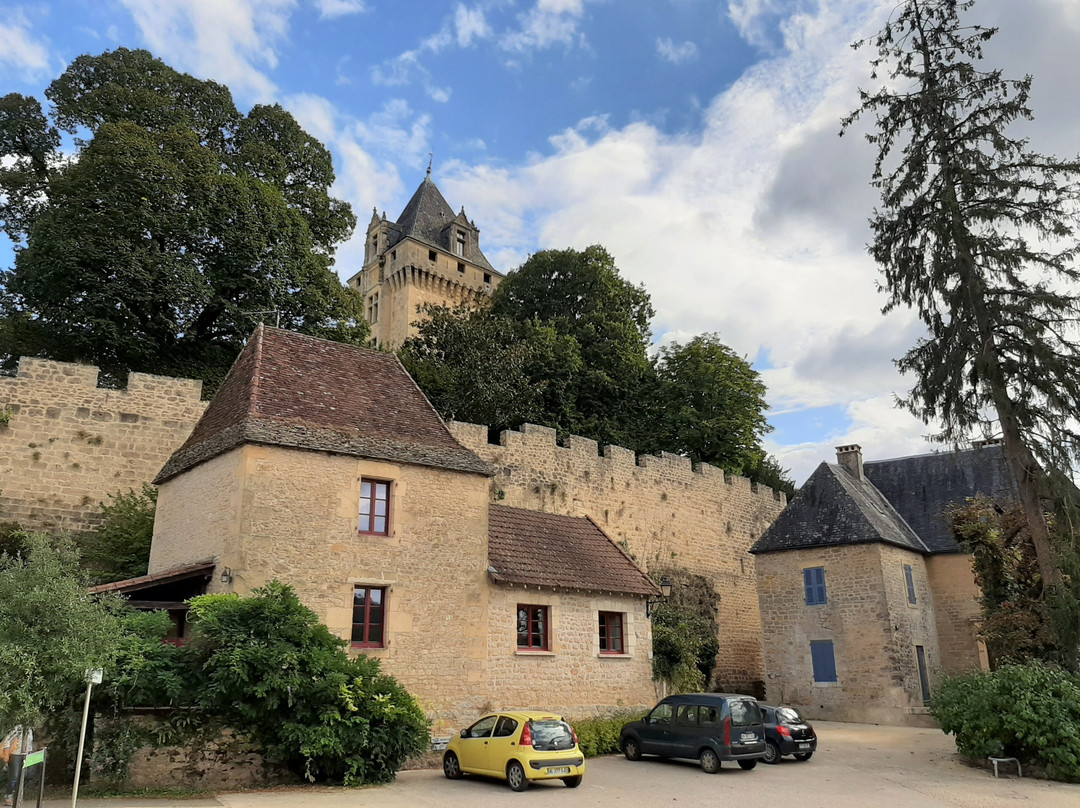Chateau de Montfort景点图片