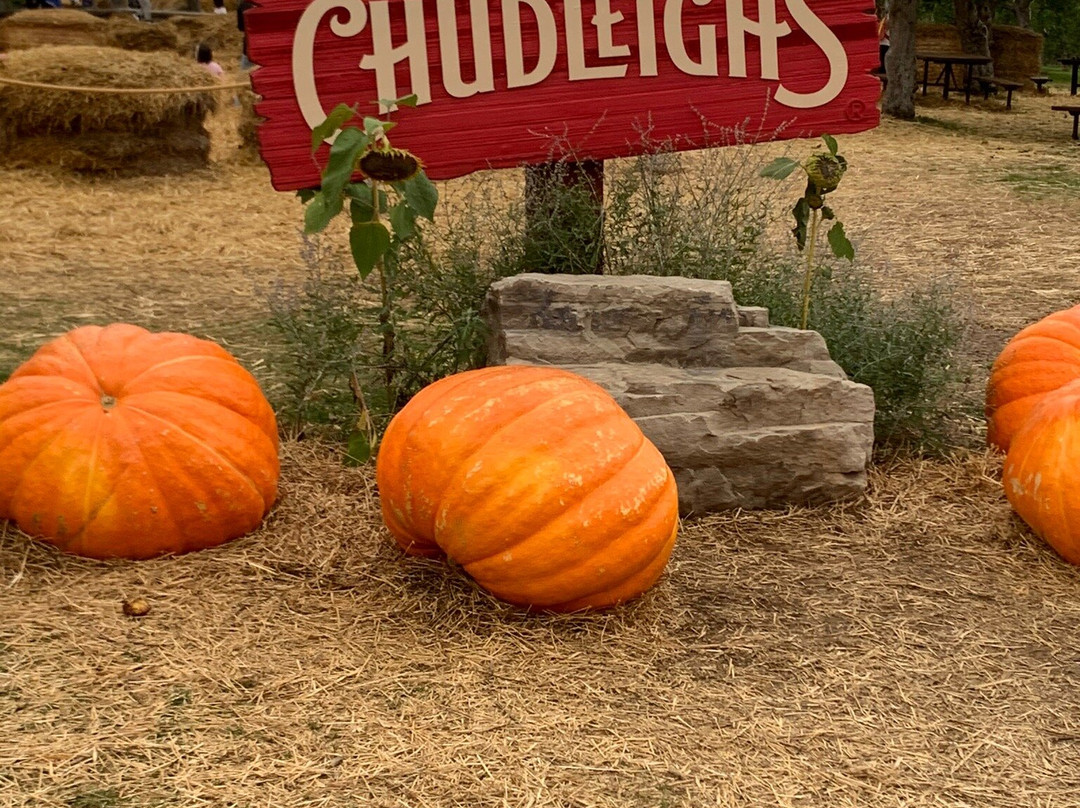 Chudleigh's Entertainment Farm-Milton必去景点