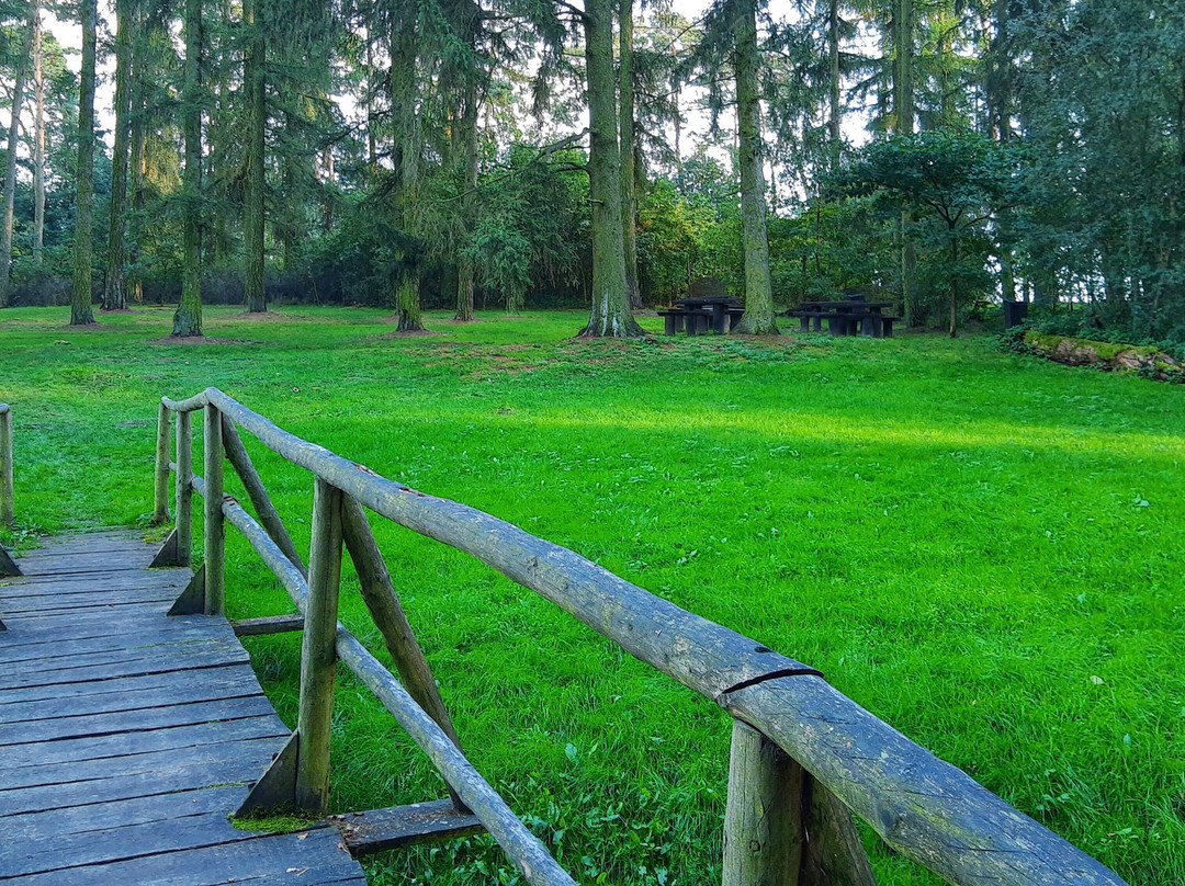 Megaliths Kujawskie Cultural Park in Wietrzychowice景点图片