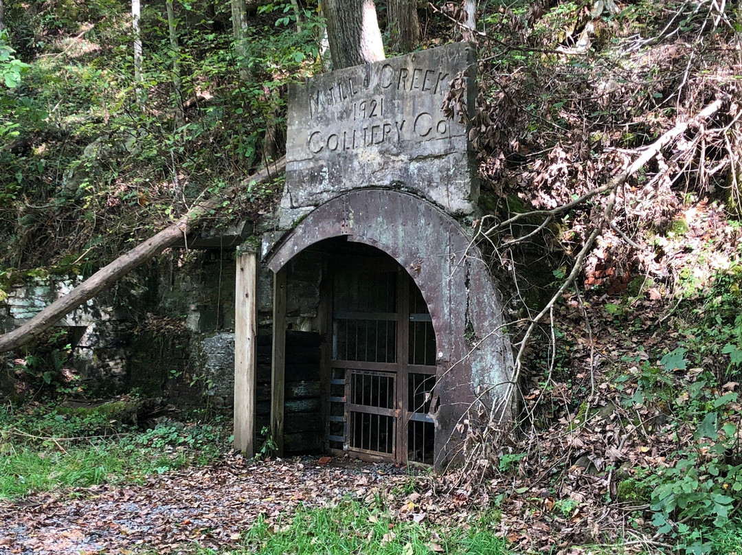 Hawks Nest Rail Trail-Ansted必去景点