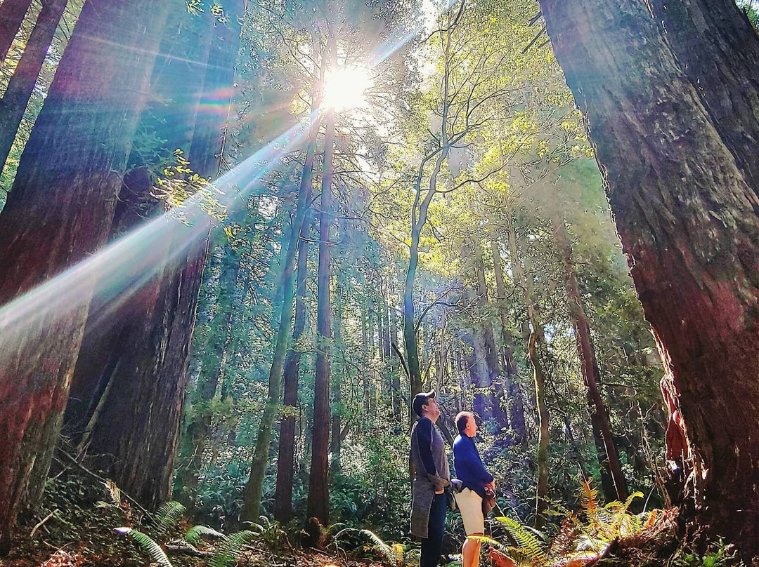 Unbeaten Path Tours & Yoga景点图片