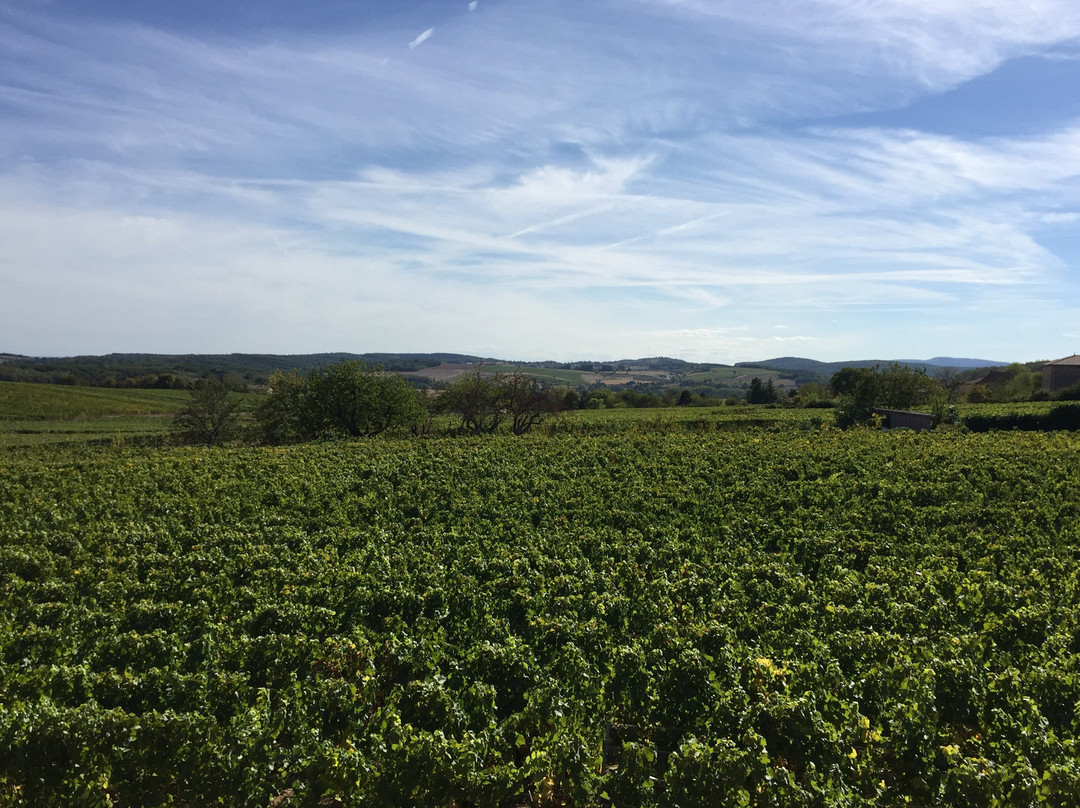 贝萨伊城堡酒店主图