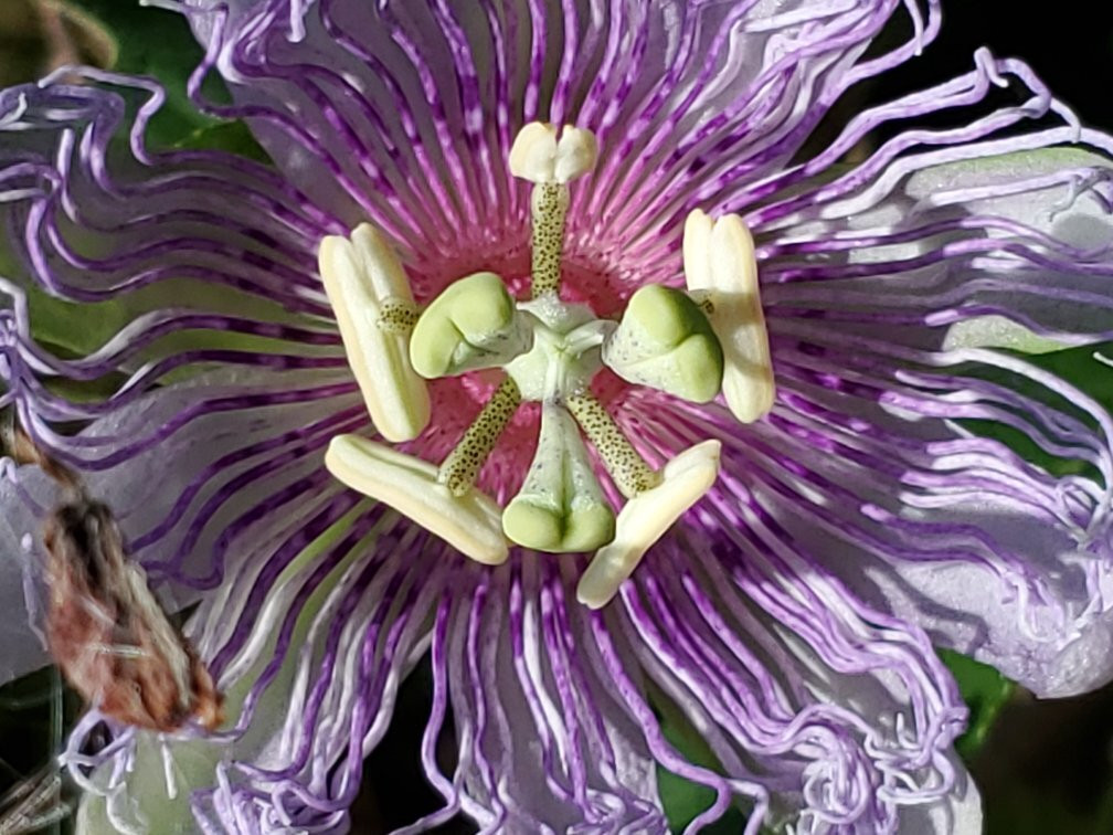 Land Between The Lakes National Recreation Area-Golden Pond必去景点