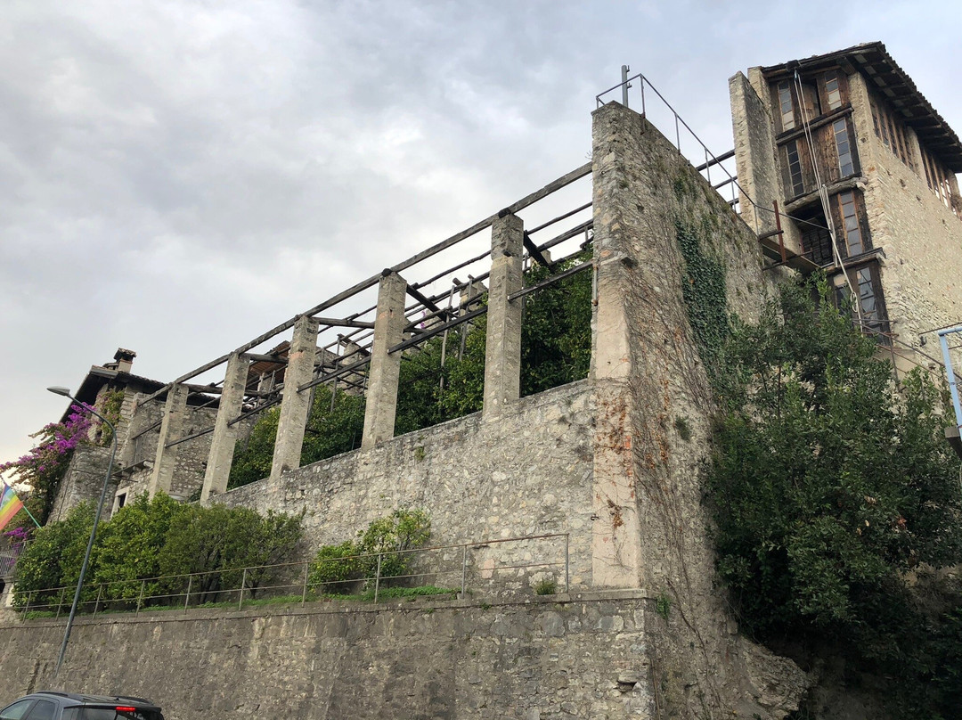 Limonaia La Malora景点图片