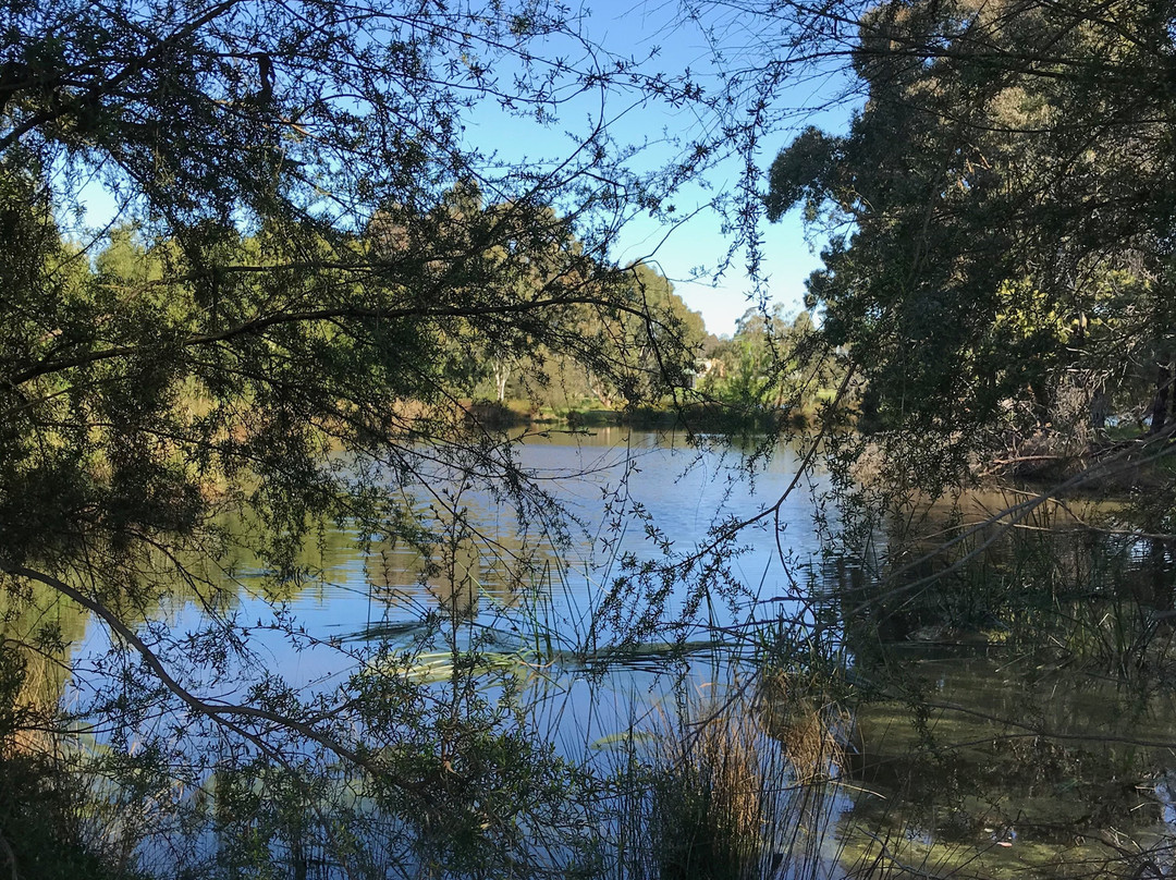 Heyfield Wetlands Information Centre-Heyfield必去景点
