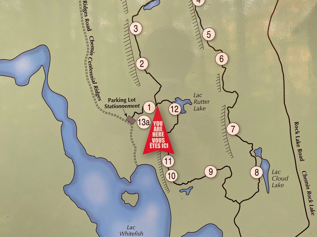 Centennial Ridges Trail景点图片