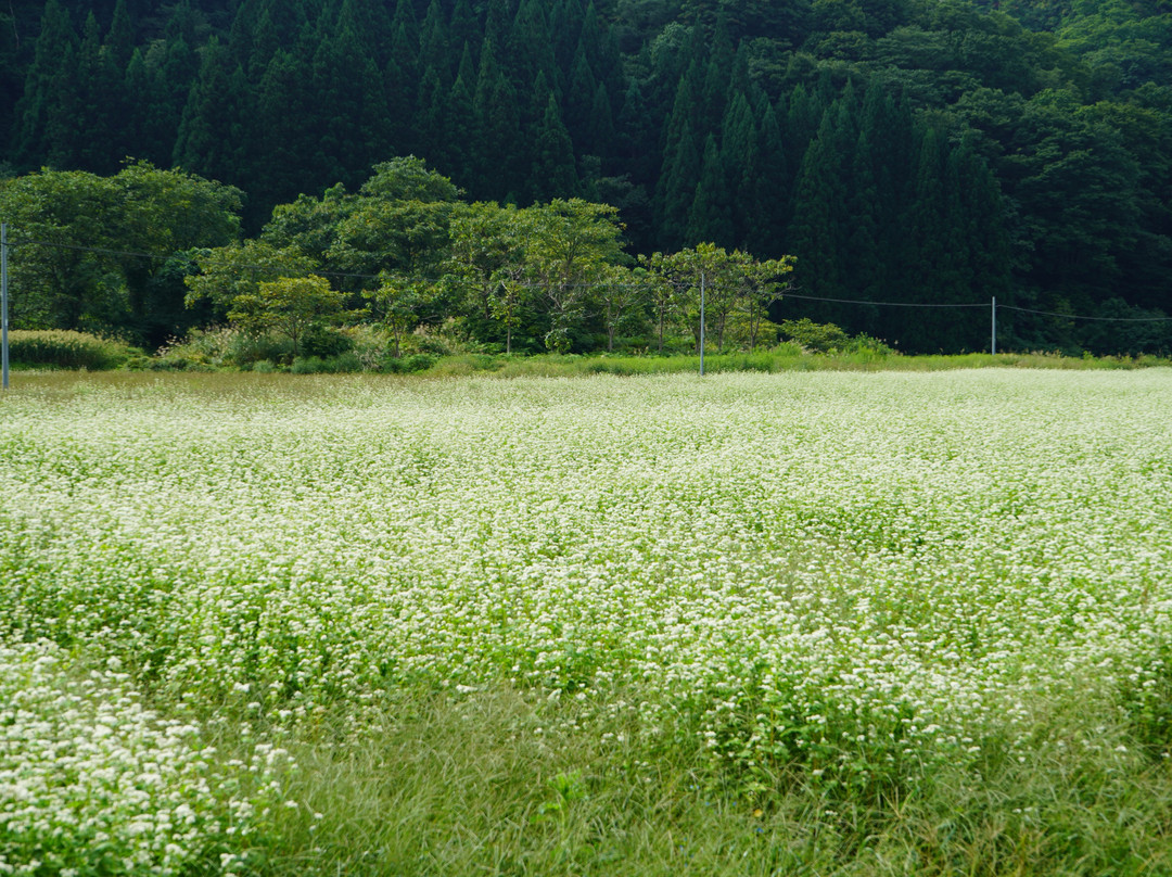 Funagatamachi Tourism Product Center Megami景点图片