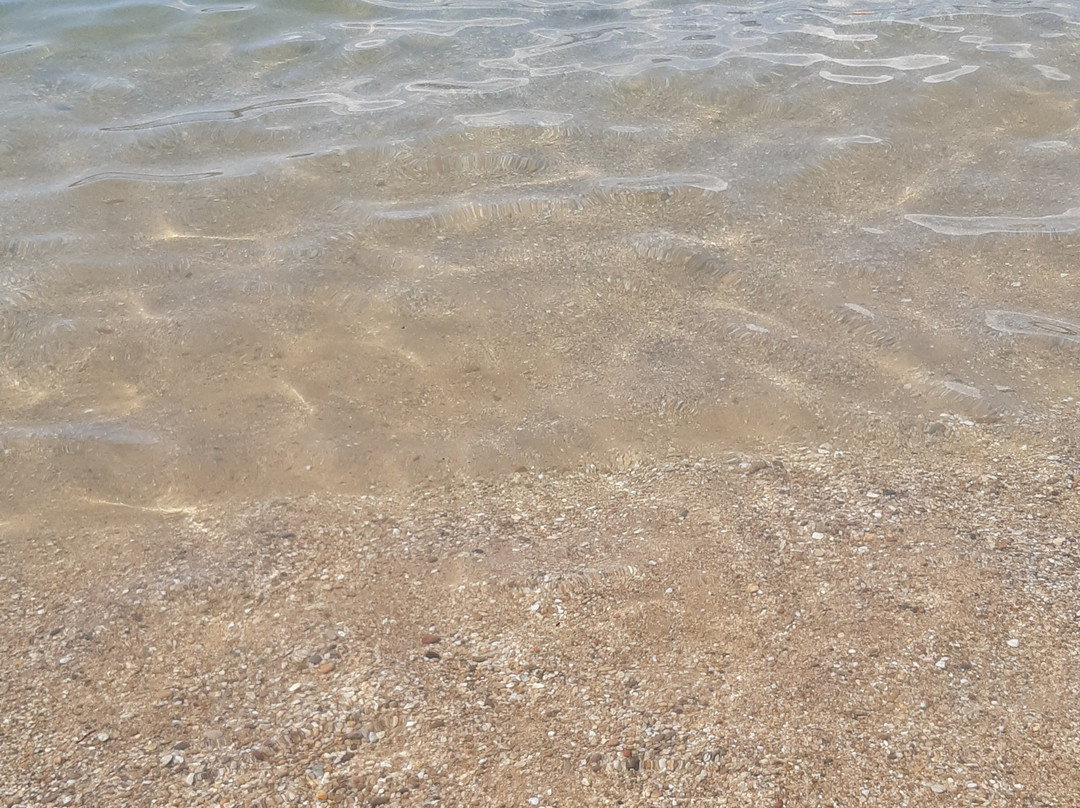 Spiaggia di Zuccale-Capoliveri必去景点