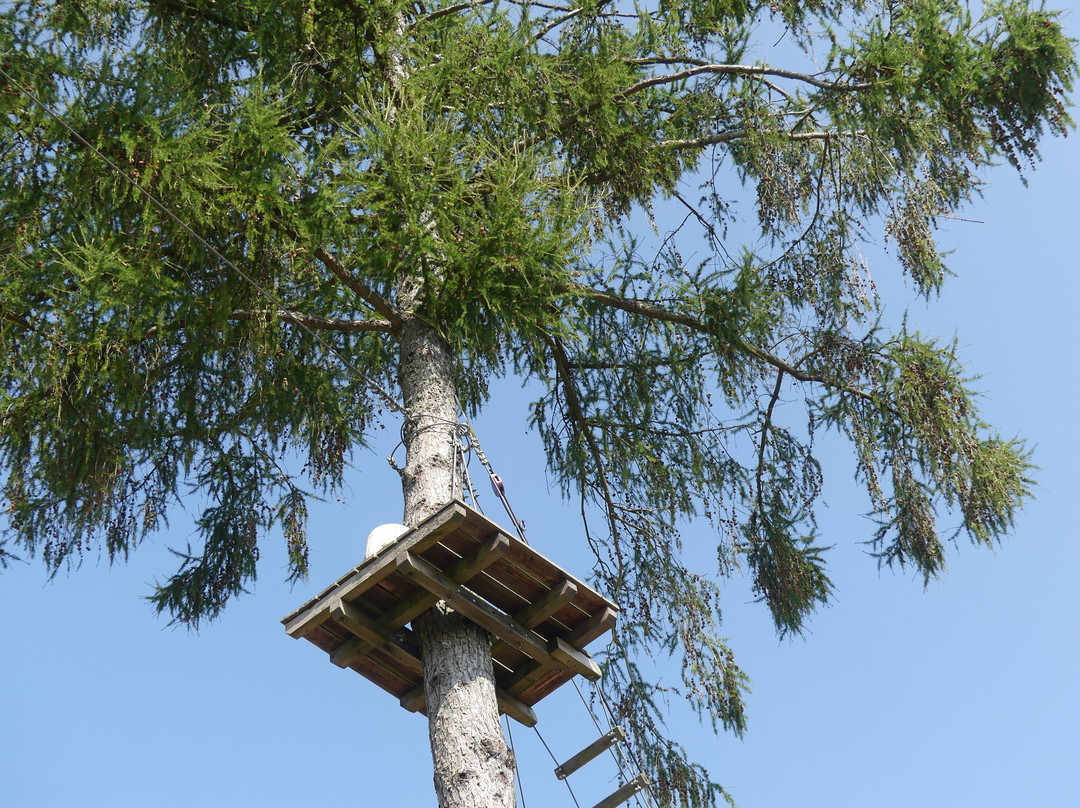 EifelAdventures-Berlingen必去景点