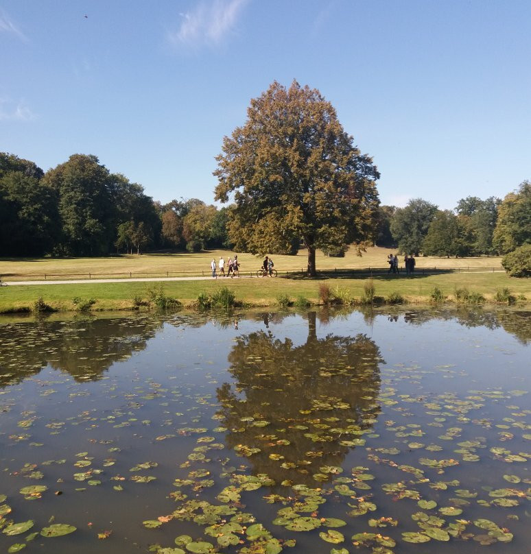 Park Mużakowski景点图片