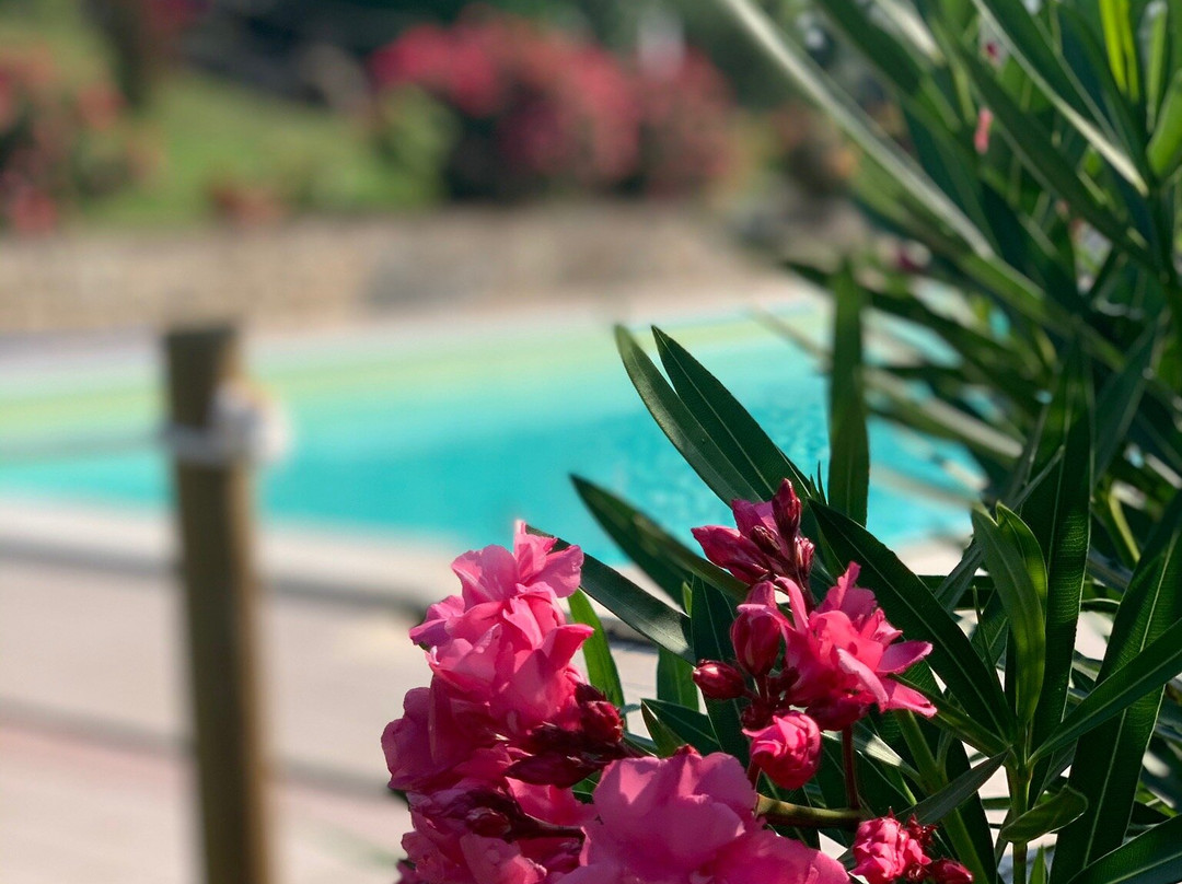 Agriturismo Perseo主图