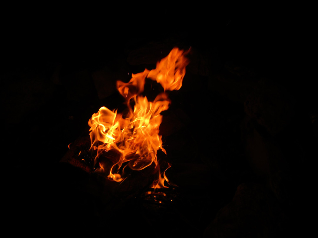 The 1896 House Country Inn - Brookside & Pondside主图