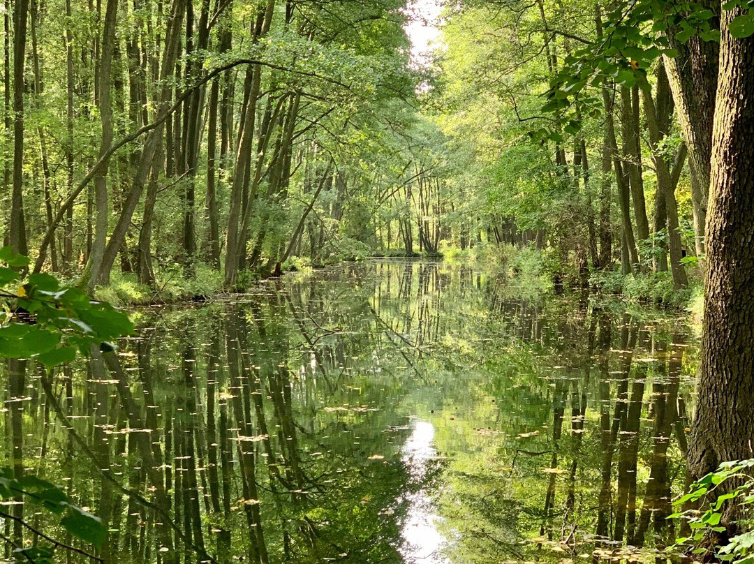 Niebieskie Zrodla Nature Reserve-Tomaszow Mazowiecki必去景点