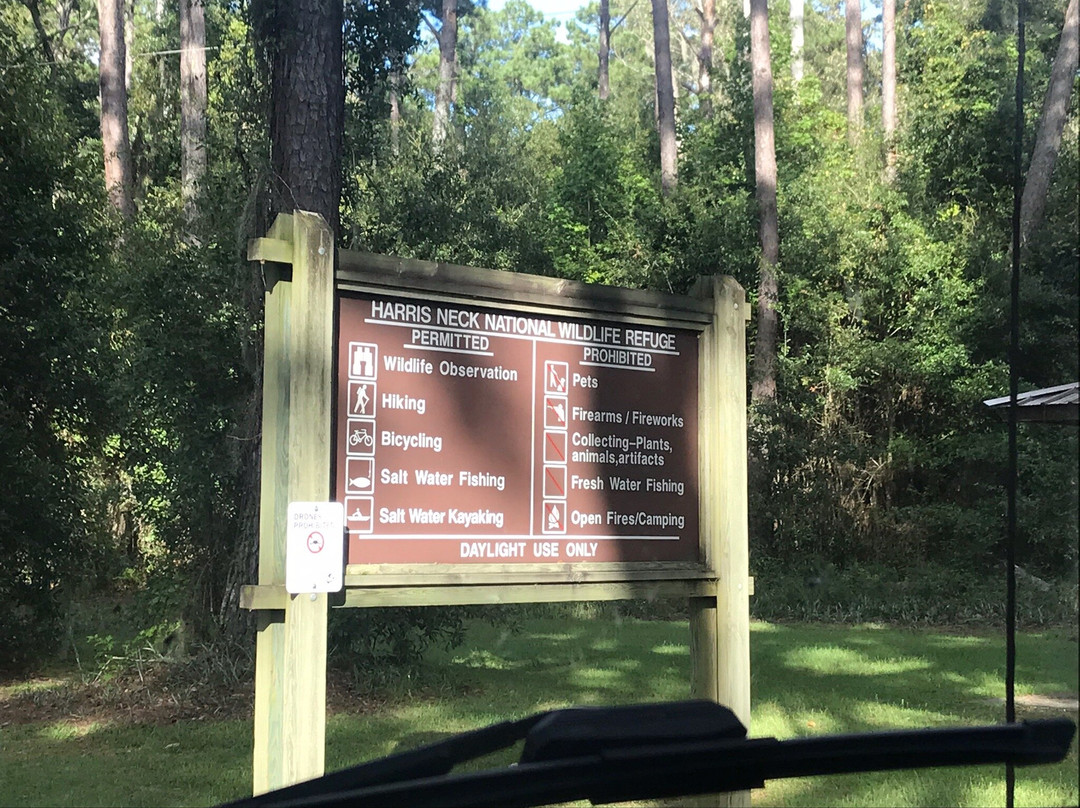 Harris Neck National Wildlife Refuge-萨凡纳必去景点