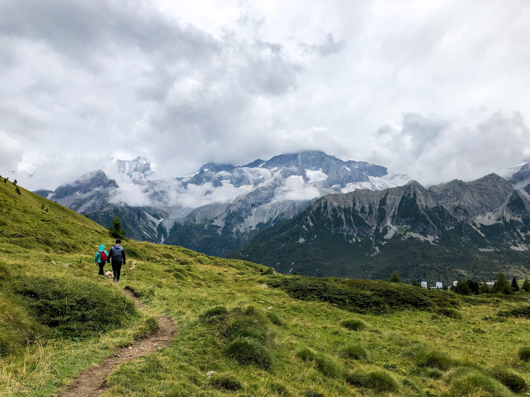 Alpine Marmot Village景点图片