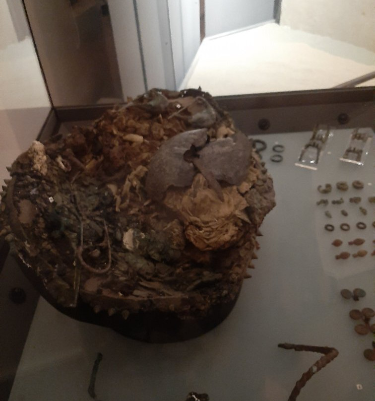 Museo Archeologico Di Cecina景点图片