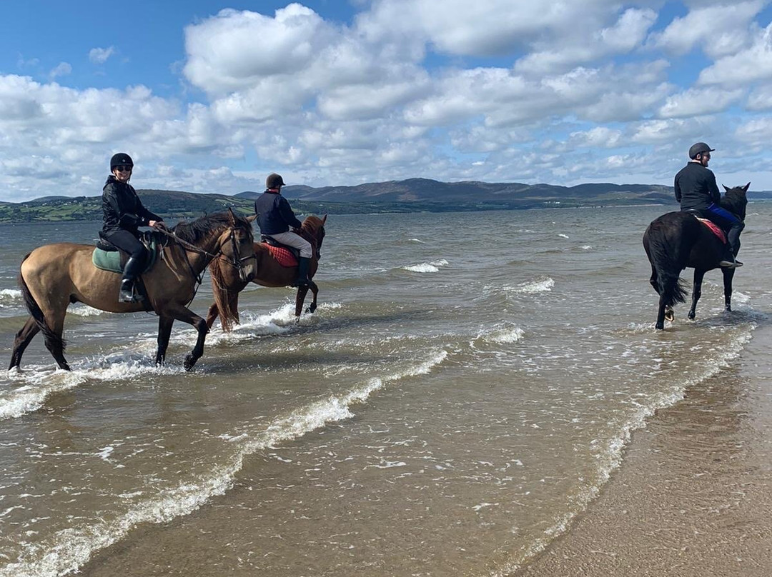 Crana Stables-Buncrana必去景点