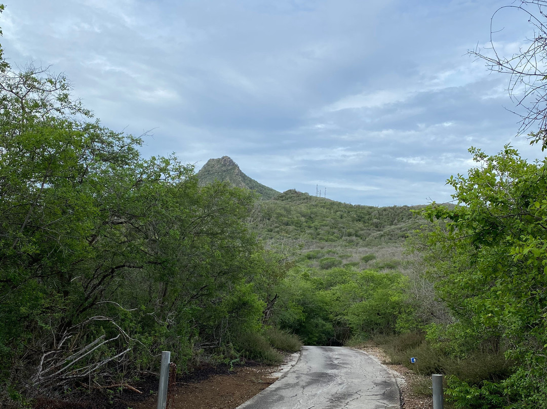 Christoffelpark-Sabana Westpunt必去景点