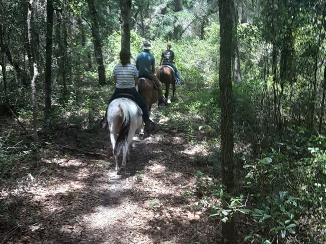 Skunkie Acres, Inc'-Citra必去景点