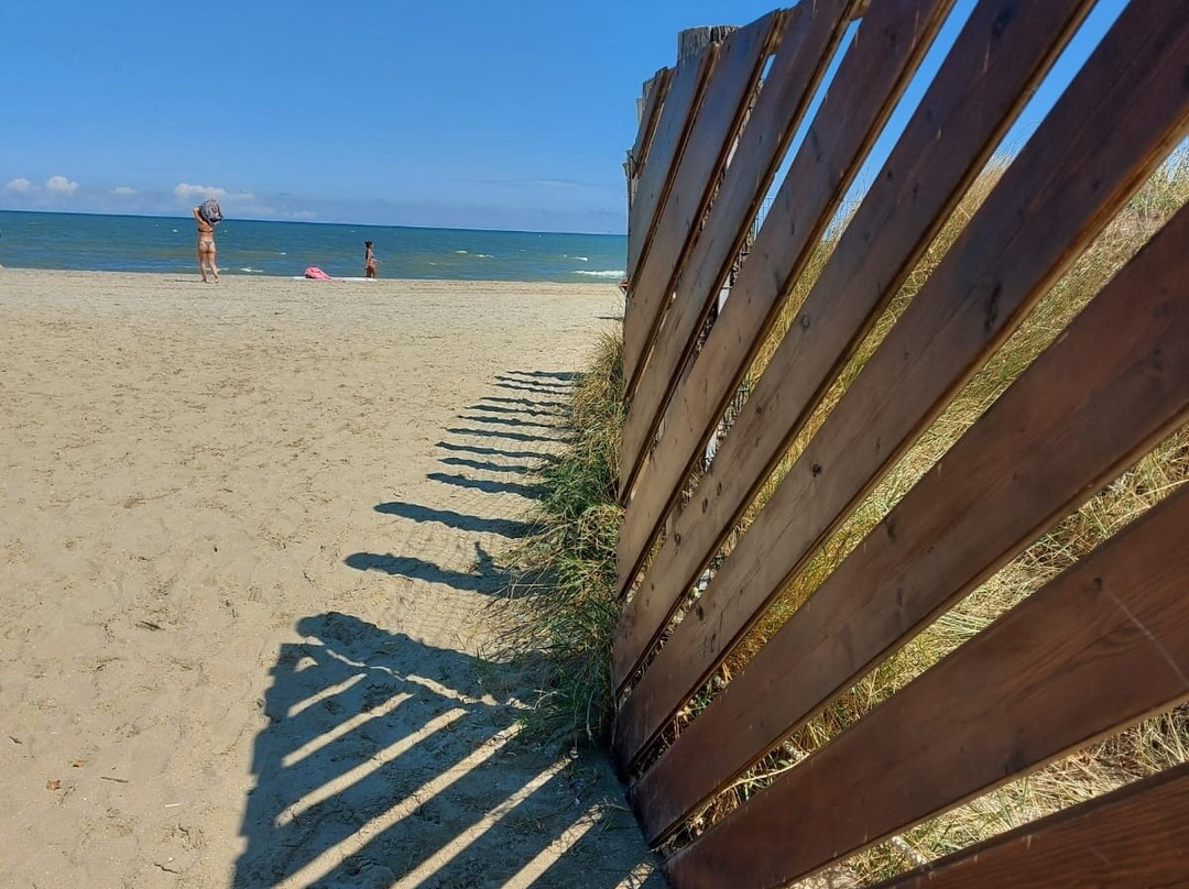 Sand Gate Beach景点图片