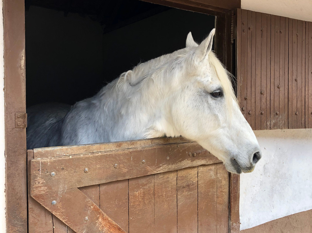 Hotel e Fazenda Rosa dos Ventos主图