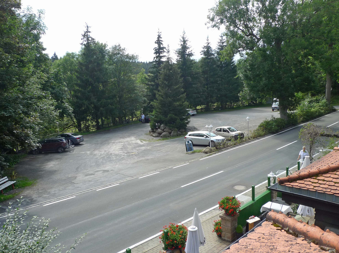 Mandelholz Hotel Grüne Tanne主图