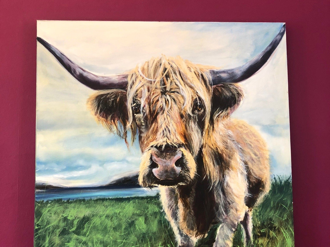 The Bellachroy Hotel主图