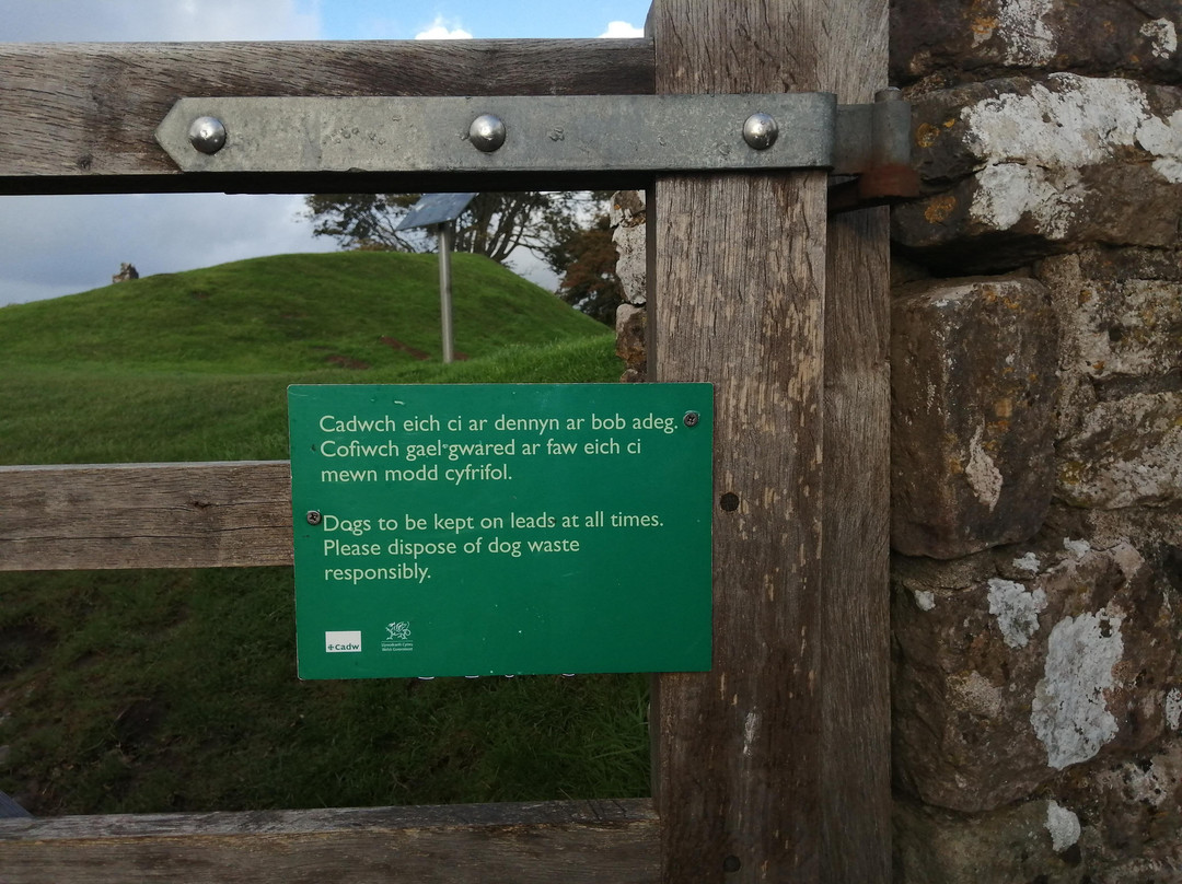 Ogmore Castle景点图片