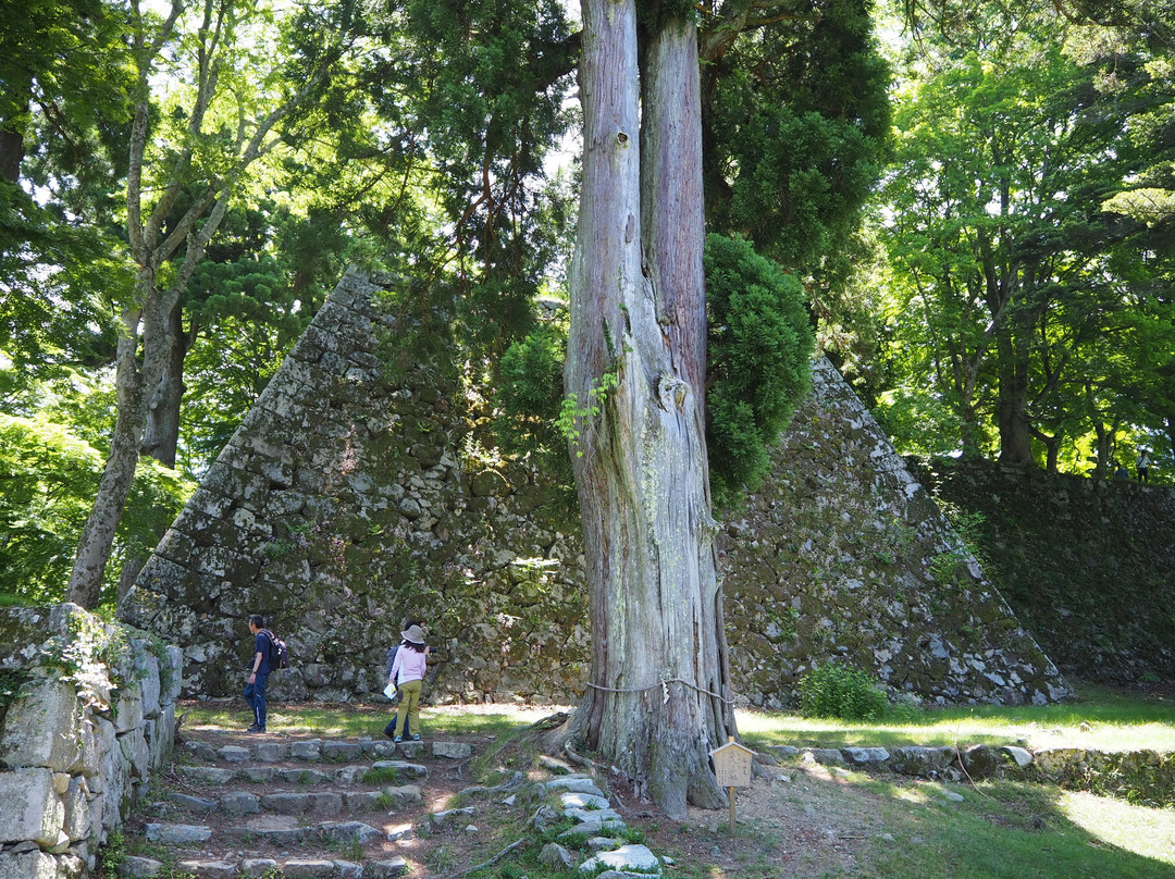 Takatori Castle Ruins-高取町必去景点