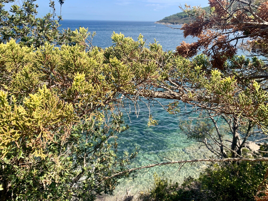 Spiaggia di Straccoligno景点图片