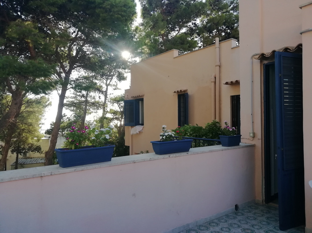 Villa Il Carrubo主图