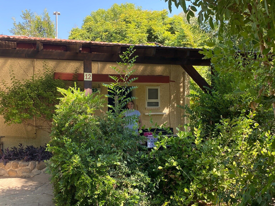Kfar Szold旅游攻略图片