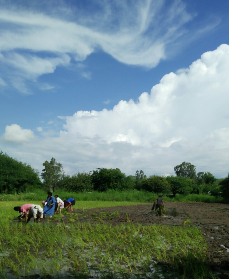 The Retreat at The Parekh Farm-官方