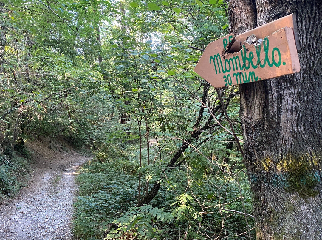 strada per la Carona-Laveno-Mombello必去景点