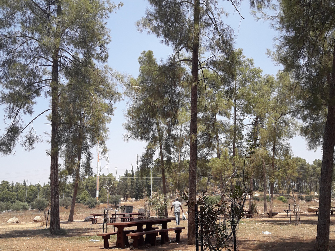 Ben Shemen Forest-Modiin必去景点