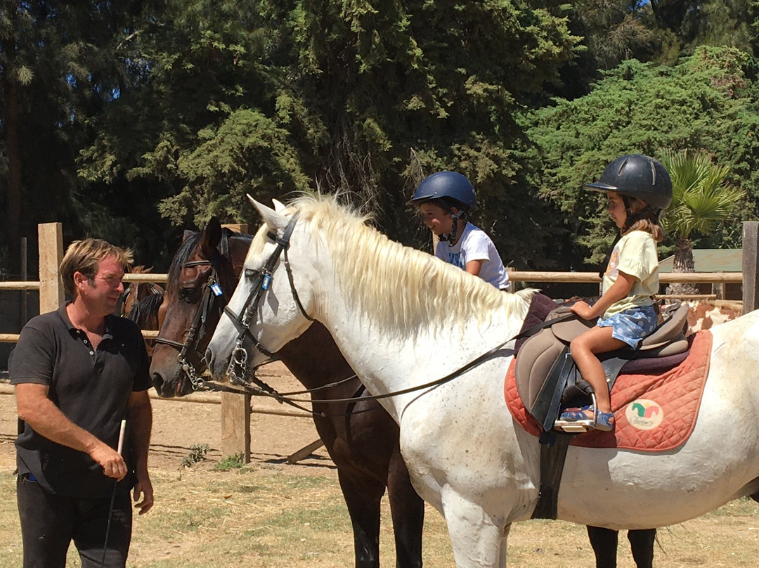 Tavira Equestrian Tourism-塔维拉必去景点