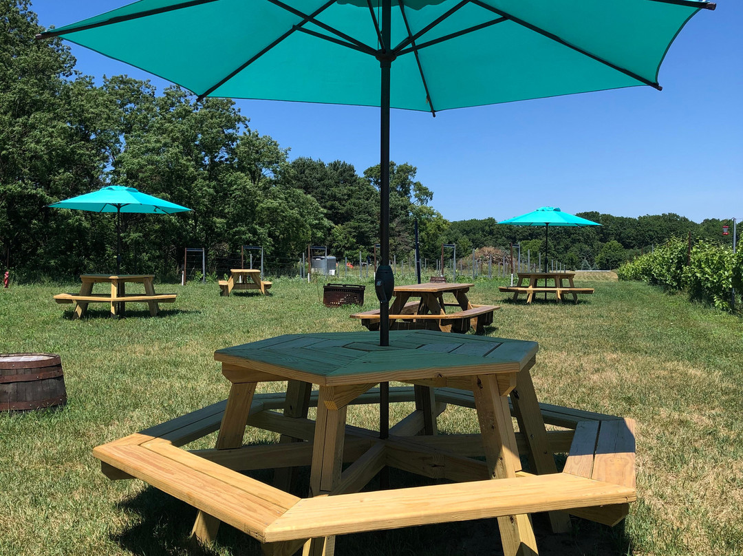 Michigan Wine Company景点图片