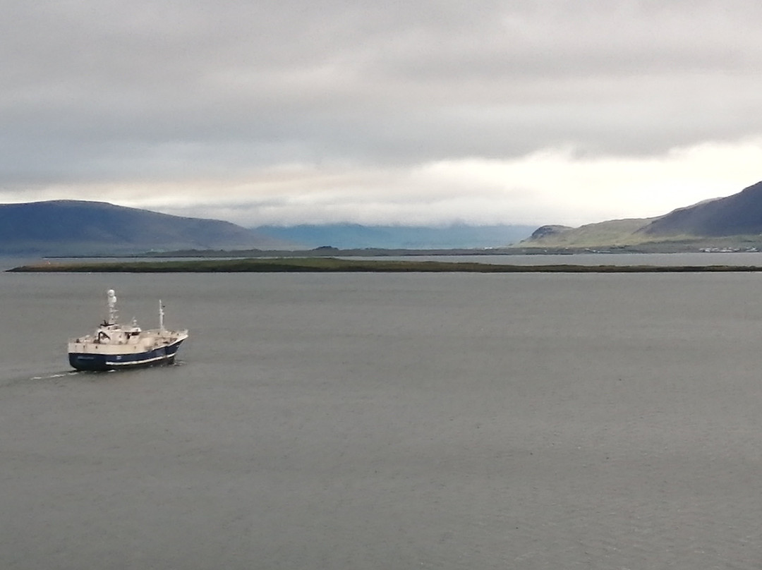 阿娜尔沃尔中央酒店主图