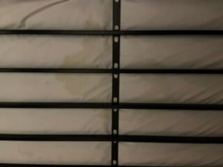 Mount Jefferson View主图