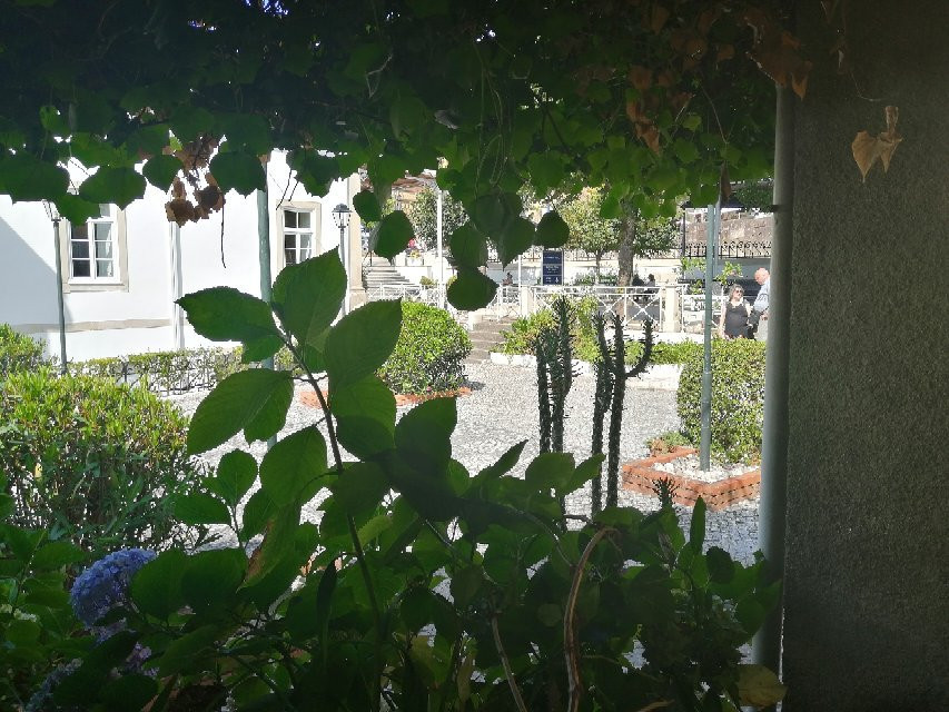 Termas de Luso景点图片