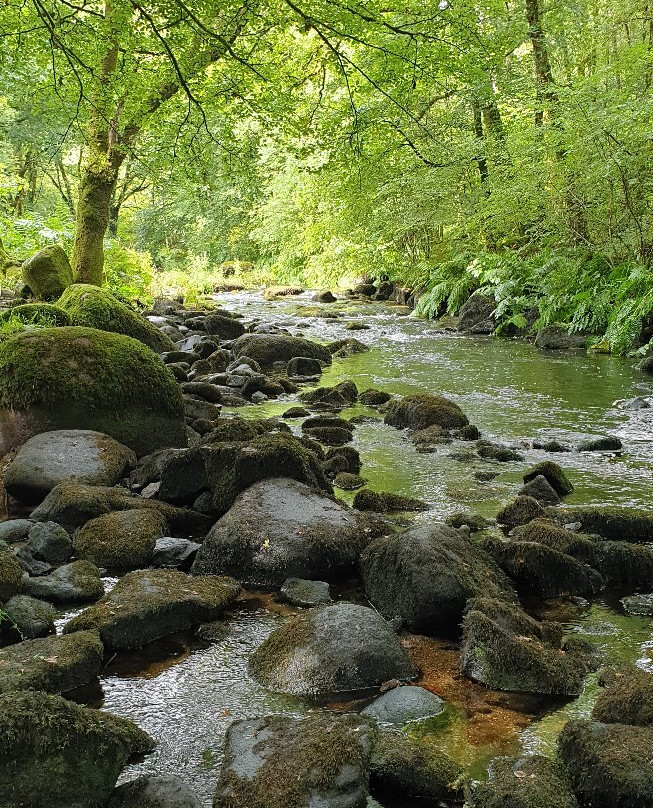 Sainte Barbe-勒法韦必去景点