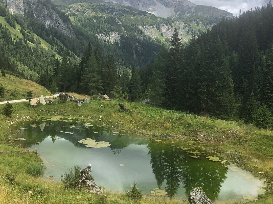 Naturpark Riedingtal-Zederhaus必去景点