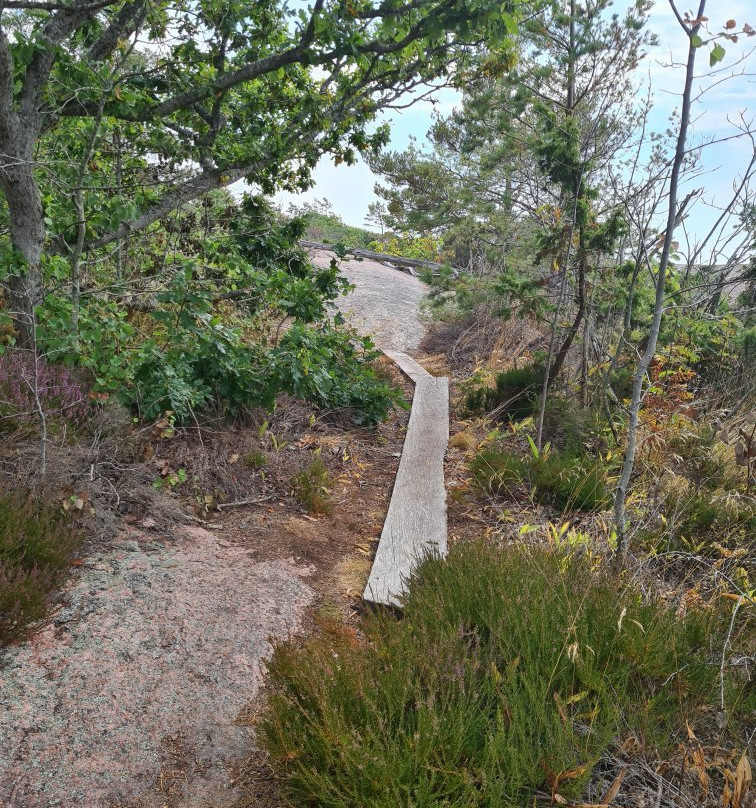 Blå Jungfrun Nationalpark-厄兰岛必去景点